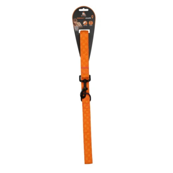 Spotted! Pro Perfect Hundeline - Flere Farver - Billede 3