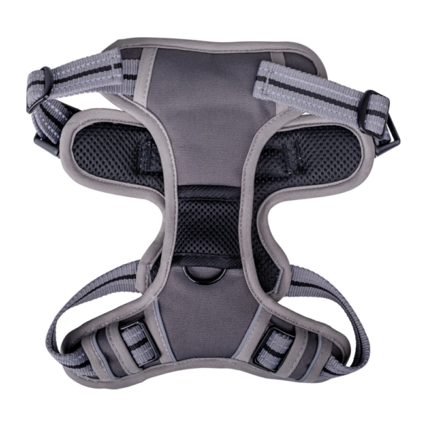 Companion No-Pull hundesele - Billede 2