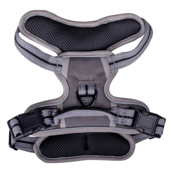 Companion No-Pull hundesele