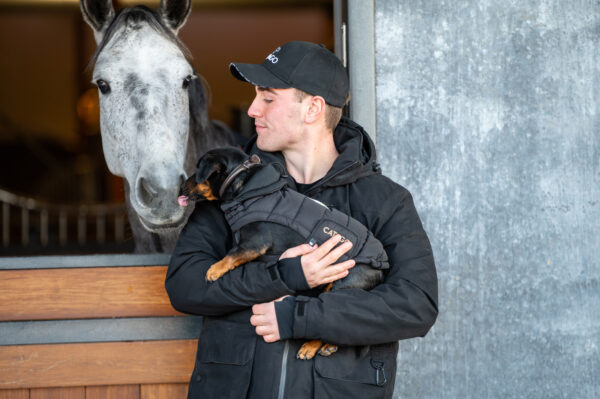 CATAGO Rundsyet Læder Hundehalsbånd - Brun - Image 2