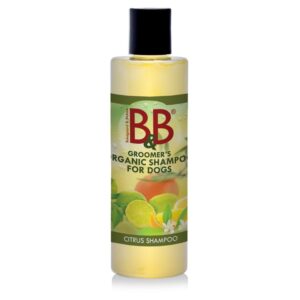 Citrus Økologisk Hundeshampoo Hundefrisørens egen økologiske shampoo med citrus. Citrus indeholder store mængder c vitamin