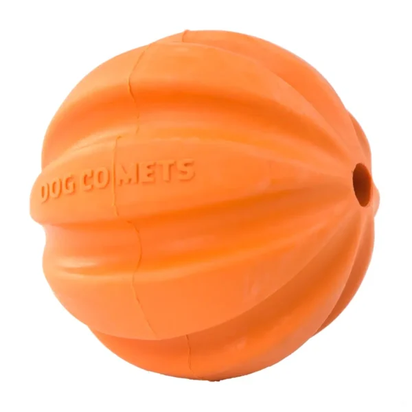 Dog Comets Swift Tuttle Orange