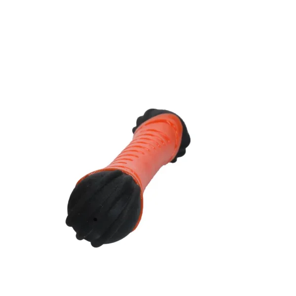 Dog Comets Asteroid Fetch Stick