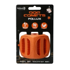 Dog Comets Pollux Orange