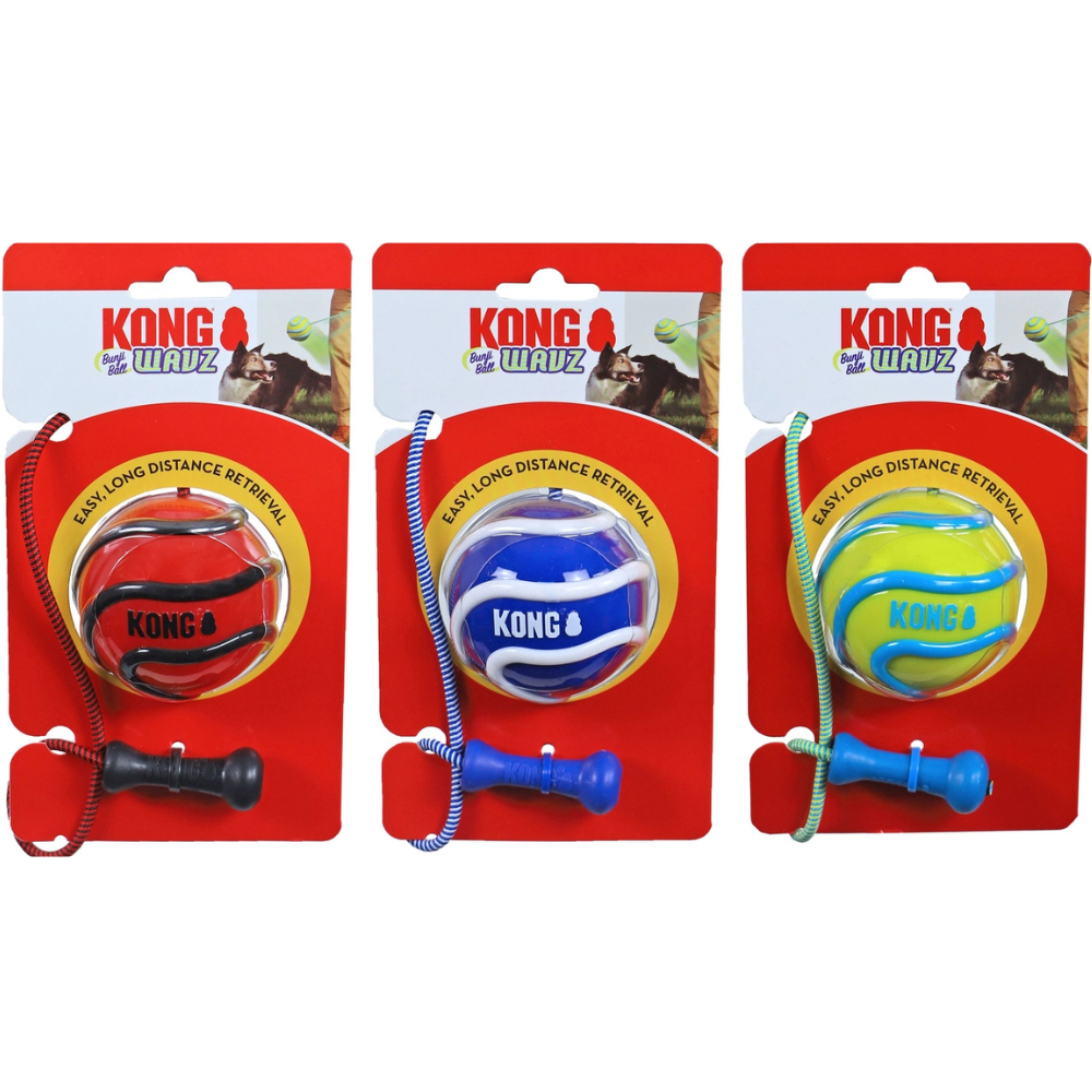 Kong Wavz Bunjiball