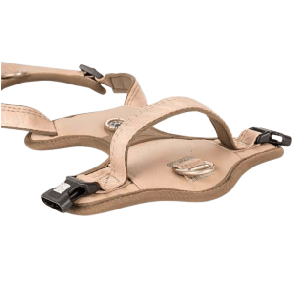 Max & Molly Matrix 2.0 Sport Hundesele – Sand
