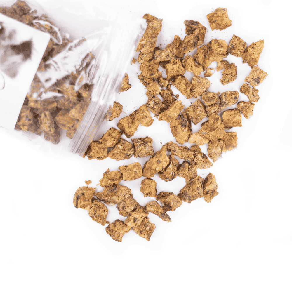 Snack'it Mini Trainers Rødspætte