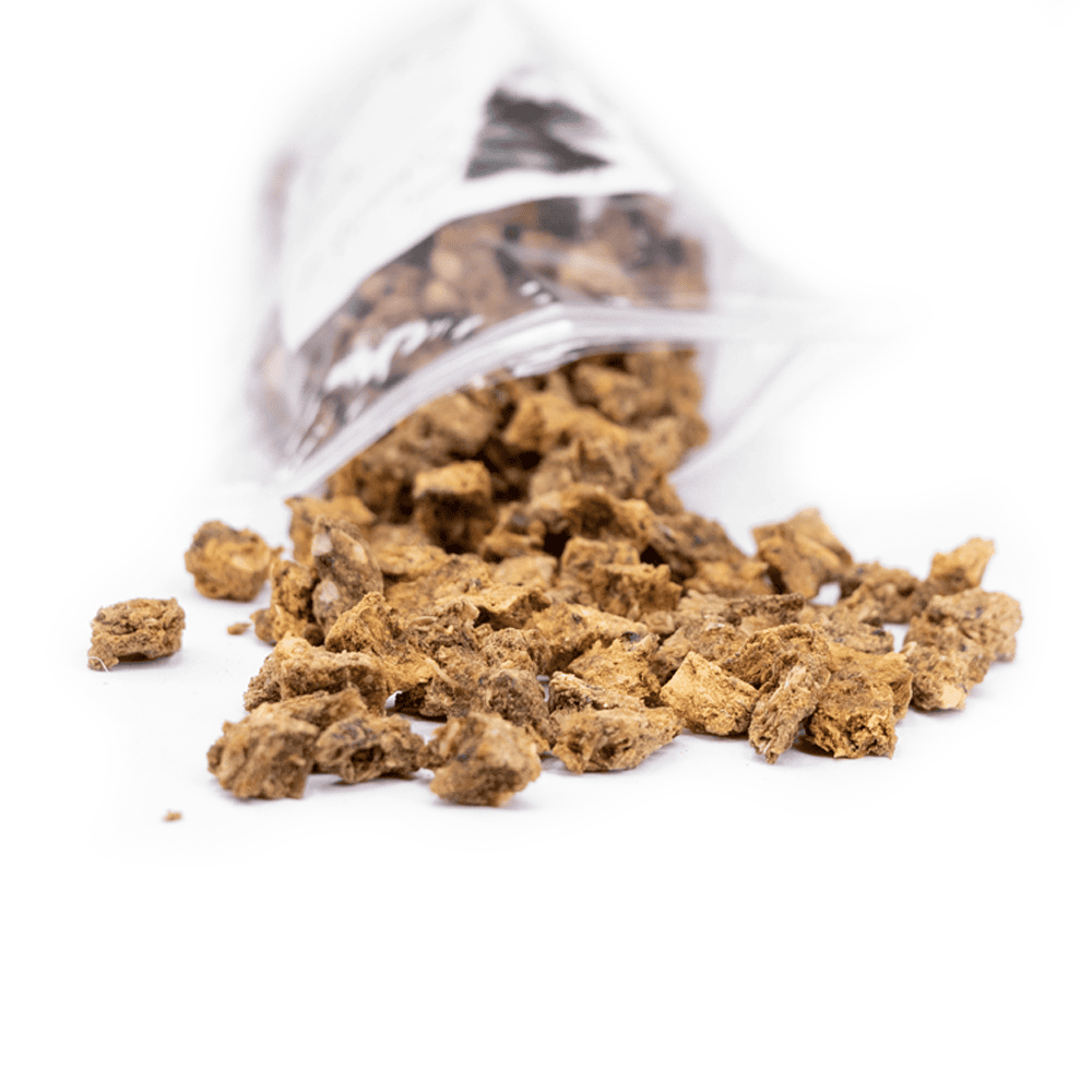 Snack'it Mini Trainers Rødspætte