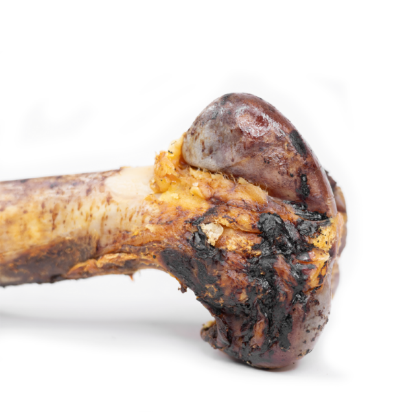 Snack'it Hestejumboknogle i folie. Gnave ben til hunde