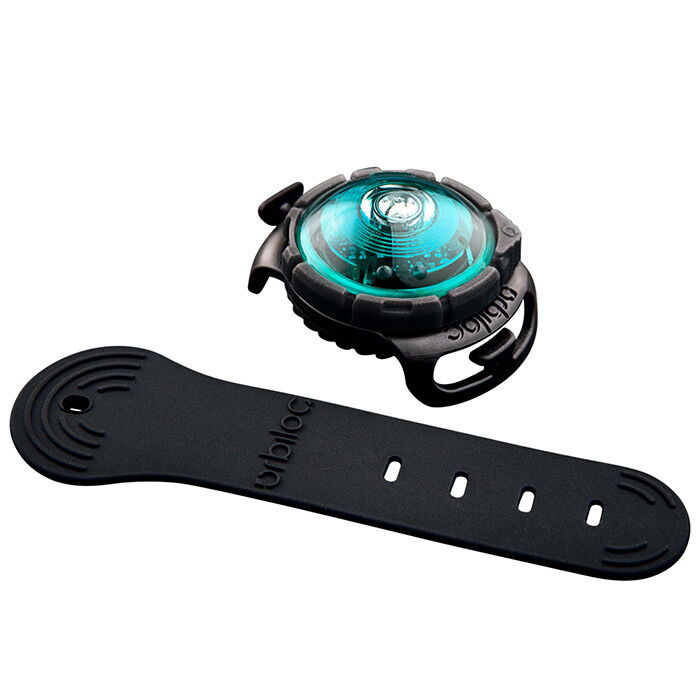 Orbiloc Dog Dual Lygte billede