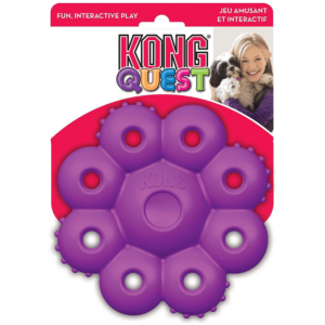 Kong Quest Star Pod