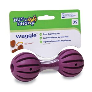 Busy Buddy Waggle