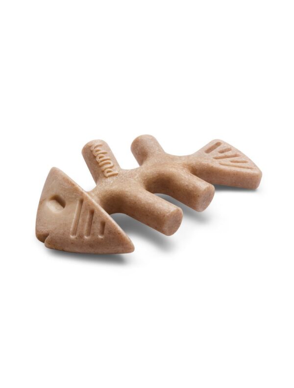 Benebone Puppy 2-Pack Fishbone Mini