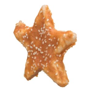 Denta Fun Chicken Star