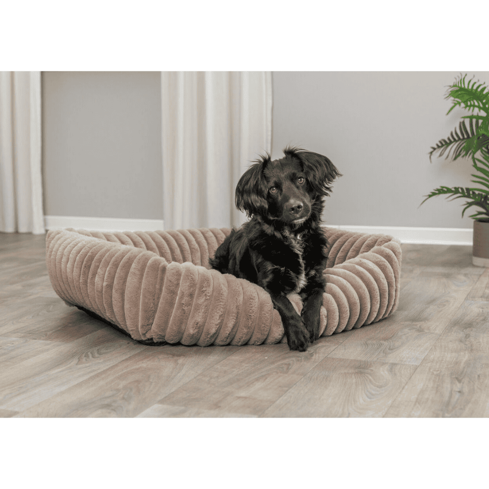 Trixie Lonni Hundeseng Lysebrun