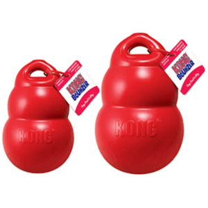 Kong Bounzer
