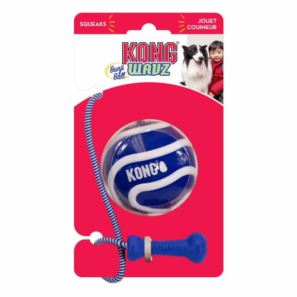 Kong Wavz Bunji Ball