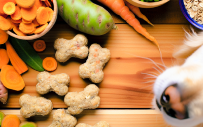 Naturlige ingredienser: Derfor er de vigtige i din hunds godbidder