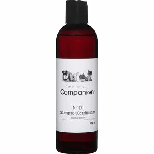Companion 2 i 1 Shampoo. Shampoo til hund og kat.